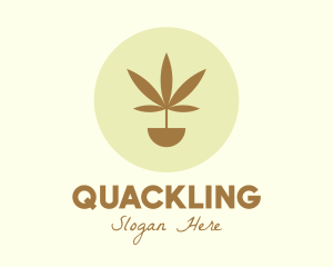 Cannabis Marijuana Plant logo design