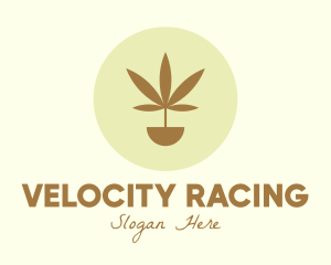 Cannabis Marijuana Plant logo design