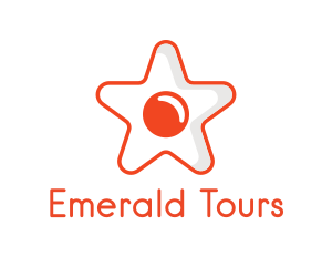 Orange Star Egg logo design