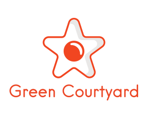 Orange Star Egg logo design