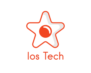 Orange Star Egg logo design