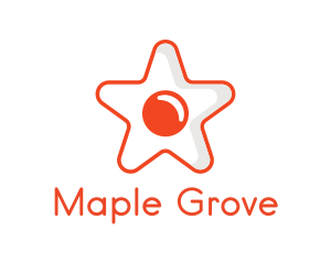 Orange Star Egg logo design