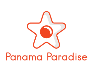 Orange Star Egg logo design