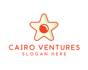 Orange Star Egg logo design