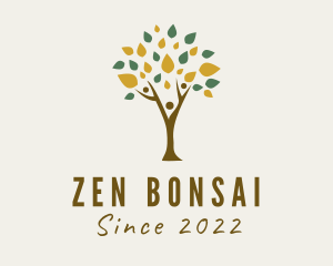 Bonsai - Human Tree Wellness logo design