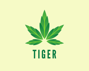 Cbd - Green Cannabis Leaf logo design