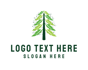 Forest - Pine Feather Tree logo design