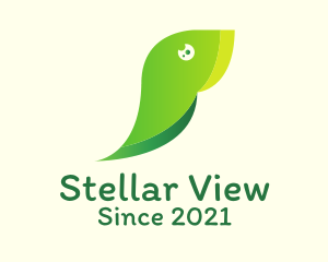 Green Toucan Aviary  logo design