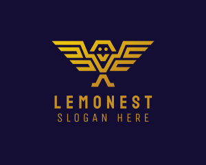 Pilot Training - Modern Geometric Eagle Owl logo design