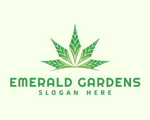 Organic Cannabis Leaf logo design