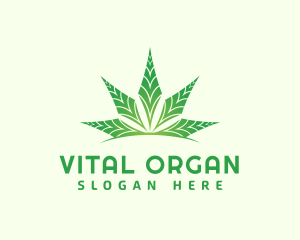 Organic Cannabis Leaf logo design