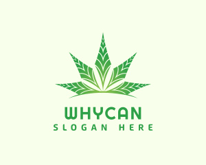 Plant - Organic Cannabis Leaf logo design