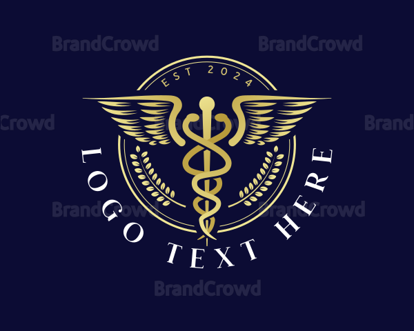 Medical Health Caduceus Logo