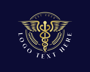 Medical Health Caduceus  Logo