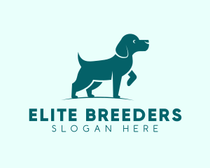 Animal Dog Vet logo design