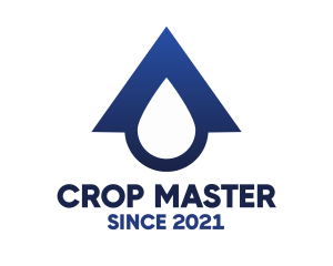 Blue Roof Drop logo design