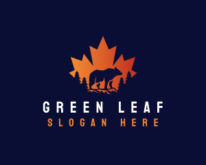 Canada Bear Maple Leaf logo design