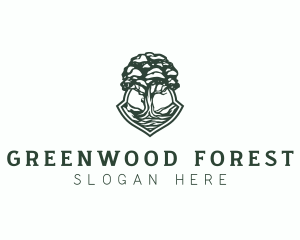 Hill Tree Forest  logo design