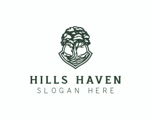 Hill Tree Forest  logo design