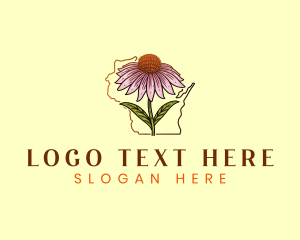 Thimbleberry - Wisconsin Coneflower Plant logo design