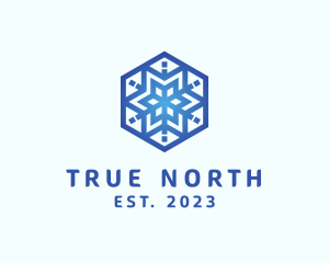 Cool Snowflake Winter logo design