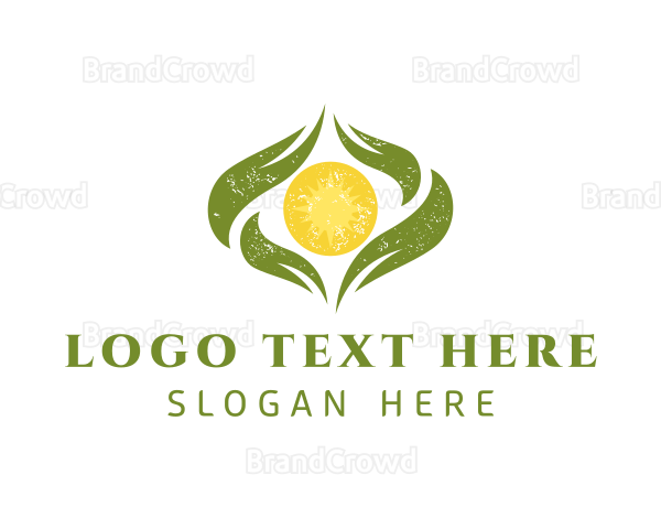 Sun Leaves Eco Friendly Logo