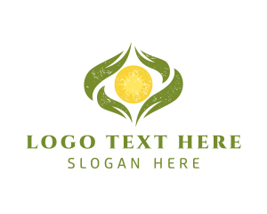 Hydroponics - Sun Leaves Eco Friendly logo design