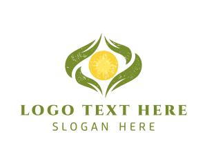 Eco - Sun Leaves Eco Friendly logo design