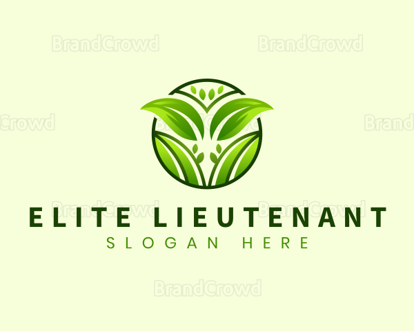 Eco Leaves Nature Logo