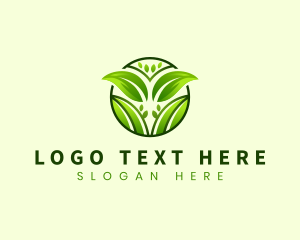 Nature - Eco Leaves Nature logo design