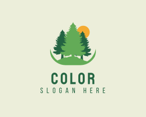 Tourism - Sun Pine Tree Forest logo design
