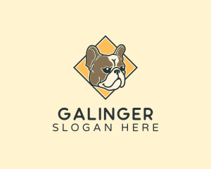 Bulldog Pet Veterinary Logo