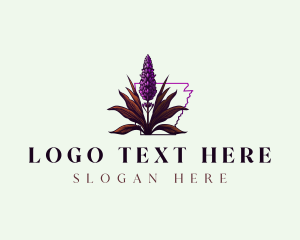 Bitterroot - Arkansas Botanical Plant logo design