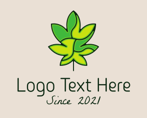 Plant - Marijuana Leaf Dispensary logo design