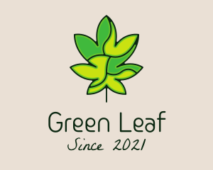 Dispensary - Marijuana Leaf Dispensary logo design