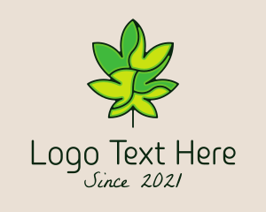 Medical Marijuana - Marijuana Leaf Dispensary logo design