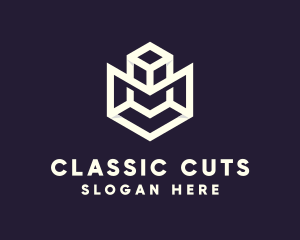 Modern Geometric Cube logo design