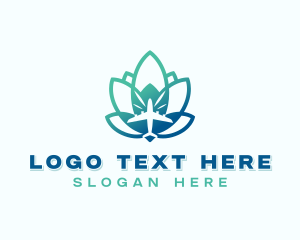 Logistics - Lotus Plane Aviation logo design