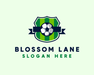 Soccer Sport League  logo design