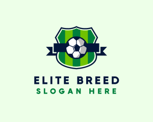 Soccer Sport League  logo design