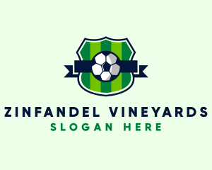 Soccer Sport League  logo design