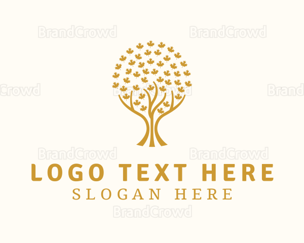 Gold Maple Leaf Tree Logo