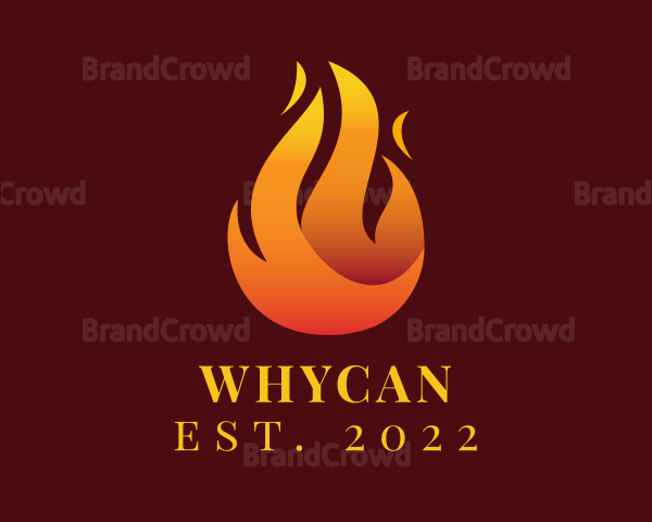 Blazing Fire Flaming Logo