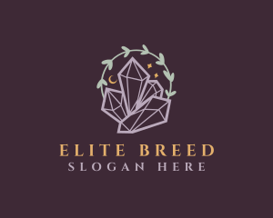 Jewelry Gemstone Crystals logo design