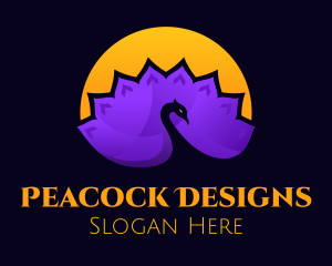 Sun Peacock Feathers logo design