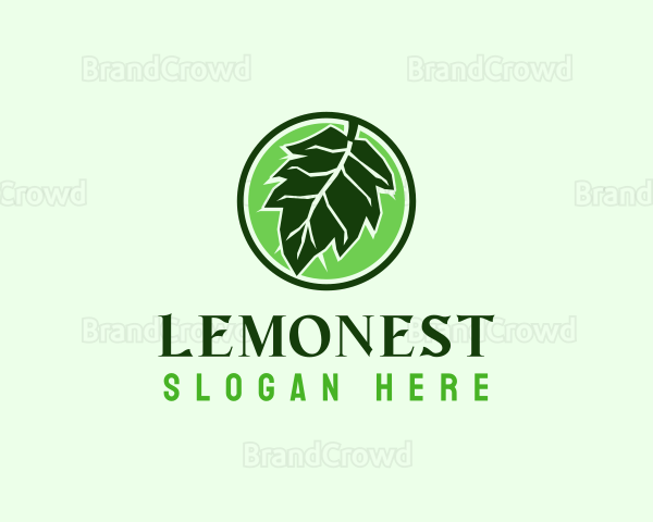 Eco Friendly Oak Leaf Logo