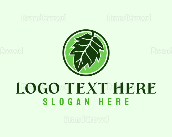 Eco Friendly Oak Leaf Logo