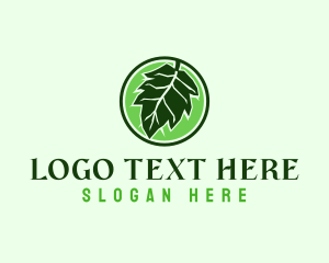 Sauna - Eco Friendly Oak Leaf logo design