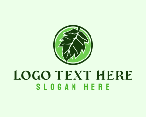 Eco Friendly Oak Leaf Logo