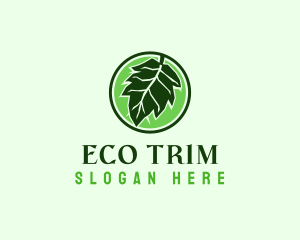 Eco Herbal Leaf logo design